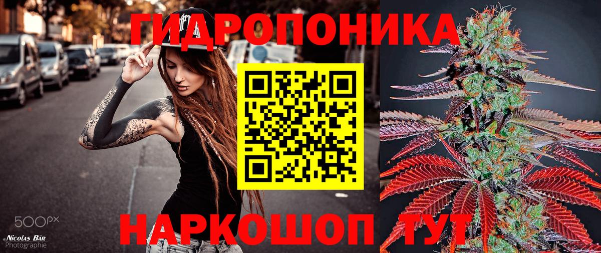 Бошки Шишки марихуана Канск